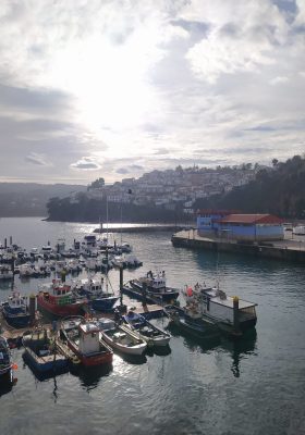 IMG_20210129_155516